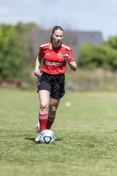 Bild 27 - F SG NieBar - IF Stjernen Flensborg : Ergebnis: 2:0